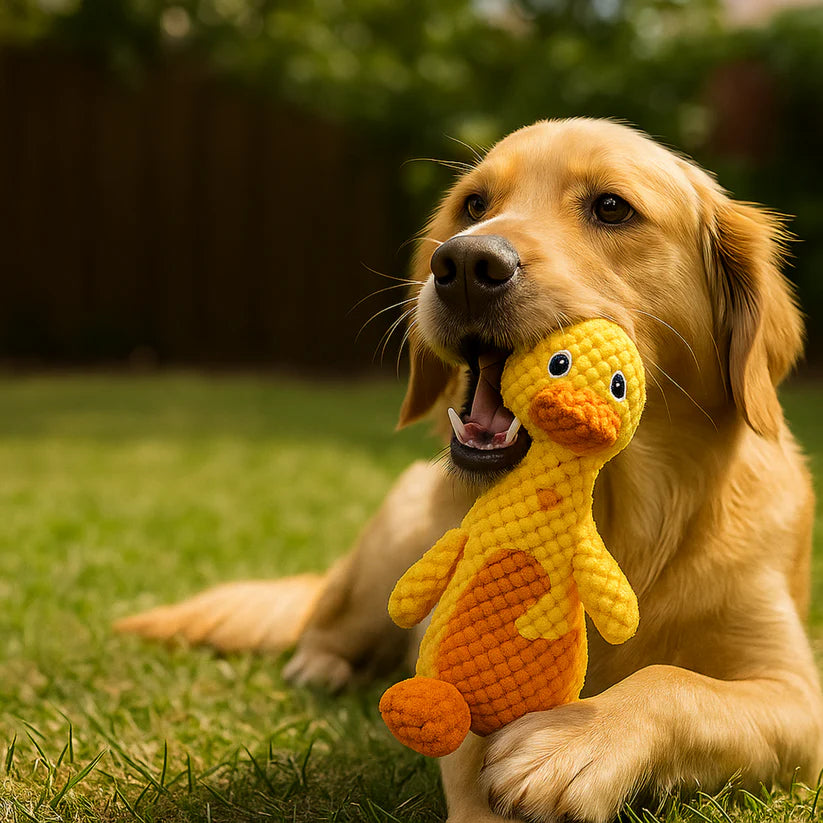 IronDog – Il Gioco che Non si Rompe