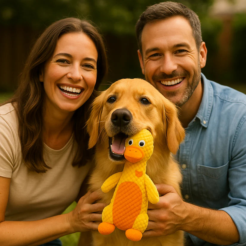 IronDog – Il Gioco che Non si Rompe