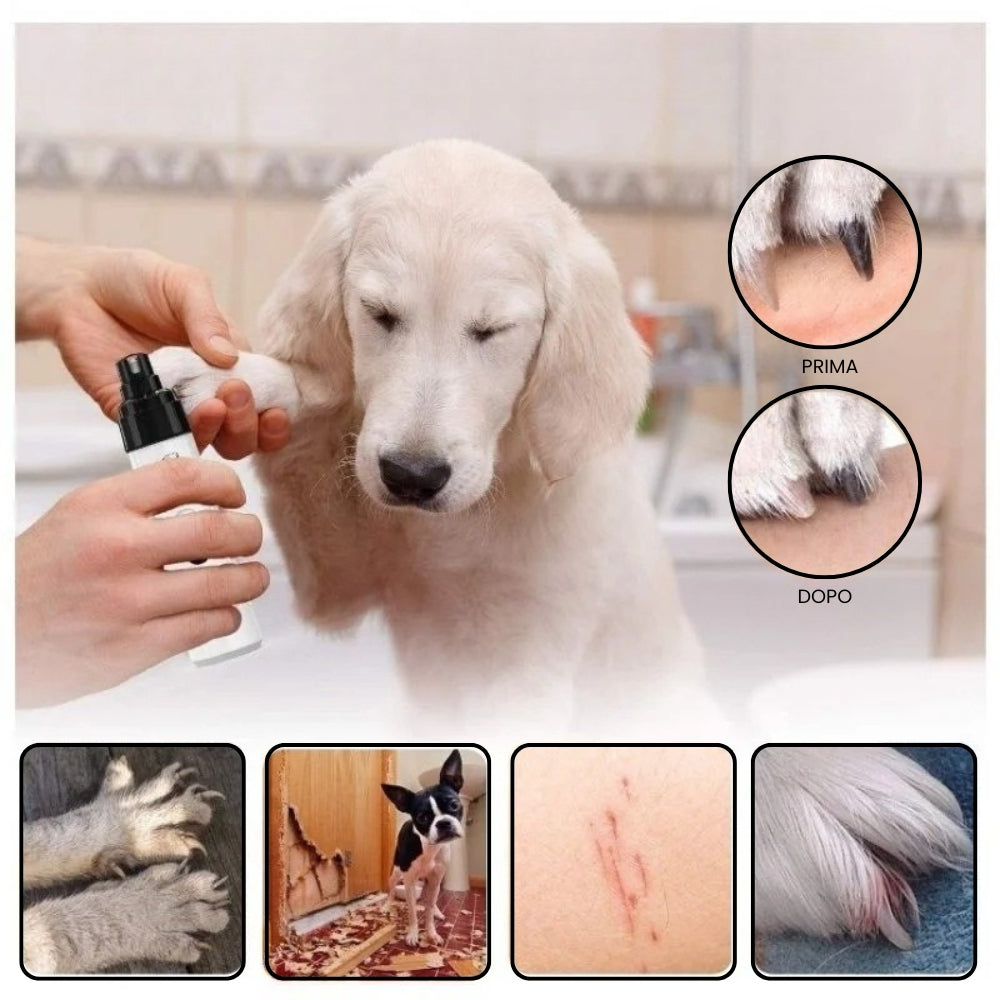 Lima Elettrica per Cani